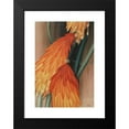 thumbnail image 2 of Leon Carroll 17x24 Black Modern Framed Museum Art Print Titled - Skyrocket (Red Hot Poker) (1929), 2 of 5