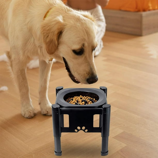 Dog feeder outlet walmart