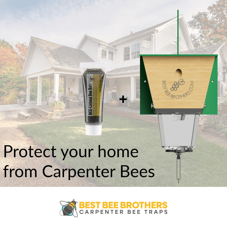 Best Bee Brothers Bee-licious Outdoor Carpenter Bees Bait, 3 Pack