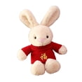 thumbnail image 4 of Conejo de peluche con suéter rojo, altura 40 cm, ideal para familiares y amigos chinos. Estilo C, 4 of 9
