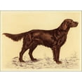 thumbnail image 2 of Collot, Andres 24x19 Black Ornate Wood Framed with Double Matting Museum Art Print Titled - Hunting Dogs-Setter, 2 of 4