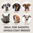 thumbnail image 5 of Kong 2-Speed Dog Clipper Grooming Kit with Stainless Steel Blade and LED Light for Medium Coat Dogs, 5 of 8