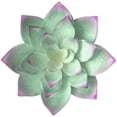 thumbnail image 1 of Escultura de pared de flores suculentas de Metal grande de 14 pulgadas, decoración de pared artística, colgante para jardín, oficina, hogar, regalo hecho a mano para interior o exterior Vhermosa WMZY-358-2, 1 of 7