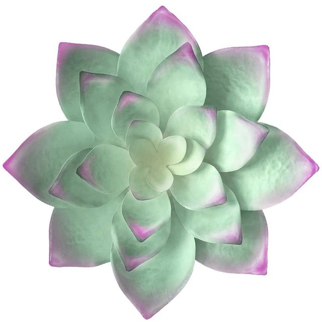 Escultura de pared de flores suculentas de Metal grande de 14 pulgadas, decoración de pared artística, colgante para jardín, oficina, hogar, regalo hecho a mano para interior o exterior Vhermosa WMZY-358-2