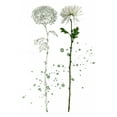 thumbnail image 2 of Wang, Melissa 11x14 Gold Ornate Wood Framed with Double Matting Museum Art Print Titled - Botany Flower IV, 2 of 4