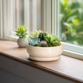 thumbnail image 4 of Ordivic 8 inch Beige Modern Ceramic Flower Pots with Drainage Hole & Saucer Indoor Shallow Planter for Cactus & Office Desk, 4 of 8