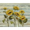 thumbnail image 2 of Vassileva, Silvia 14x12 Gold Ornate Wood Framed with Double Matting Museum Art Print Titled - Cottage Sunflowers, 2 of 4