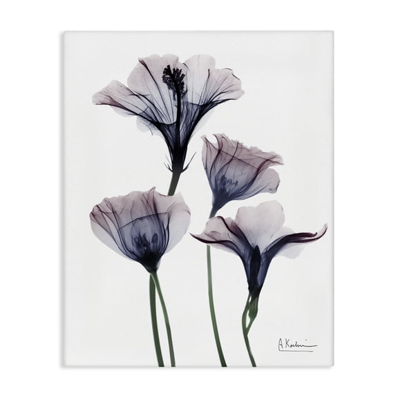 Stupell Industries Modern Bountiful Dusk Flowers Canvas Art, 16 x 20, by Albert Koetsier