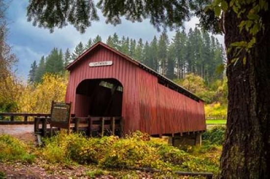 Chitwood Bridge Can