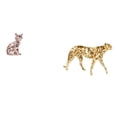 thumbnail image 1 of Estatua De Guepardo Y Gato, Figura Decorativa De Animal, Escultura Artística, Adorno Artesanal Para Chimenea, Mesa, Centro De Mesa, Oficina, Decoración Del Hogar, 1 of 8