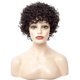 thumbnail image 1 of Estilo europeo del pelo falso de la peluca sintética de las pelucas naturales de moda rizadas cortas, 1 of 2