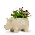 thumbnail image 1 of Rhino Jardinière, 1 of 3