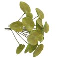 thumbnail image 3 of Hojas de follaje artificial Simulación de plástico Decoración de vegetación Oficina en casa Decoración de plantas falsas, Amarillo verde Scienceny HA8164-03B, 3 of 6