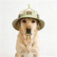thumbnail image 2 of 2026 Dog Baseball Cap with Ear Holes, New Outdoor Sun Protection Hood for Dogs - Canvas Hat With Ear Holes and Adjustable Neck Strap (Green S), 2 of 2