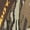 Mossy Oak Bottomland, variant on Outdoors DV8 17" 1000 Gram Insulated Rubber Boots Rubber Clay Men's 13 D