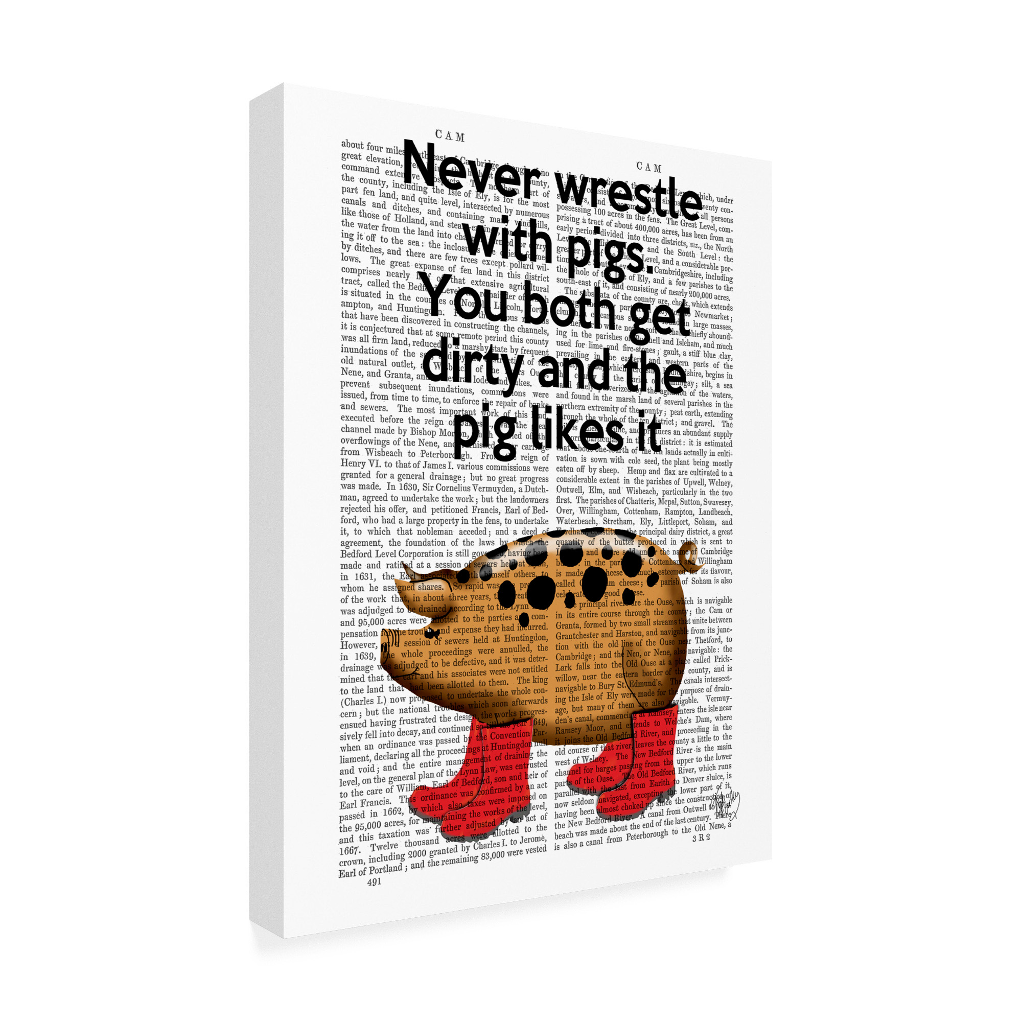 Trademark Fine Art 'Never Wrestle With Pigs' Canvas Art by Fab Funky