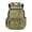 Capybara Apple Pattern, variant on Blue Lightning Bolt Print Bookbags with Waterproof, Breathable Padded Shoulder Straps 17 Inch School Bag for Travel Middle School