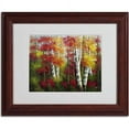 thumbnail image 2 of Trademark Fine Art "Indian Summer" Canvas Art by Rio, Wood Frame, 2 of 3