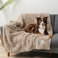 thumbnail image 5 of PetAmi WATERPROOF Dog Blanket For Large Dog, Queen Size Calming Pet Blanket Couch Cover Protector, Sherpa Faux Fur Cat Throw for Sofa Furniture Bed, Soft Fluffy XL, 90x90 Taupe, 5 of 7