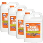 Pondworx Pond Bacteria - Formulated for Large Ponds, Water Features and Safe for Koi - 4 Gallon Value Pack