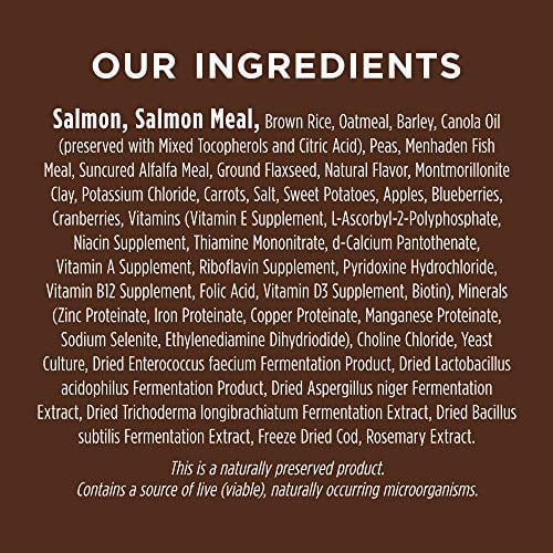 Instinct Be Natural Real Salmon & Brown Rice Recipe Natural Dry Dog Food by Nature's Variety, 24 lb. Bag
