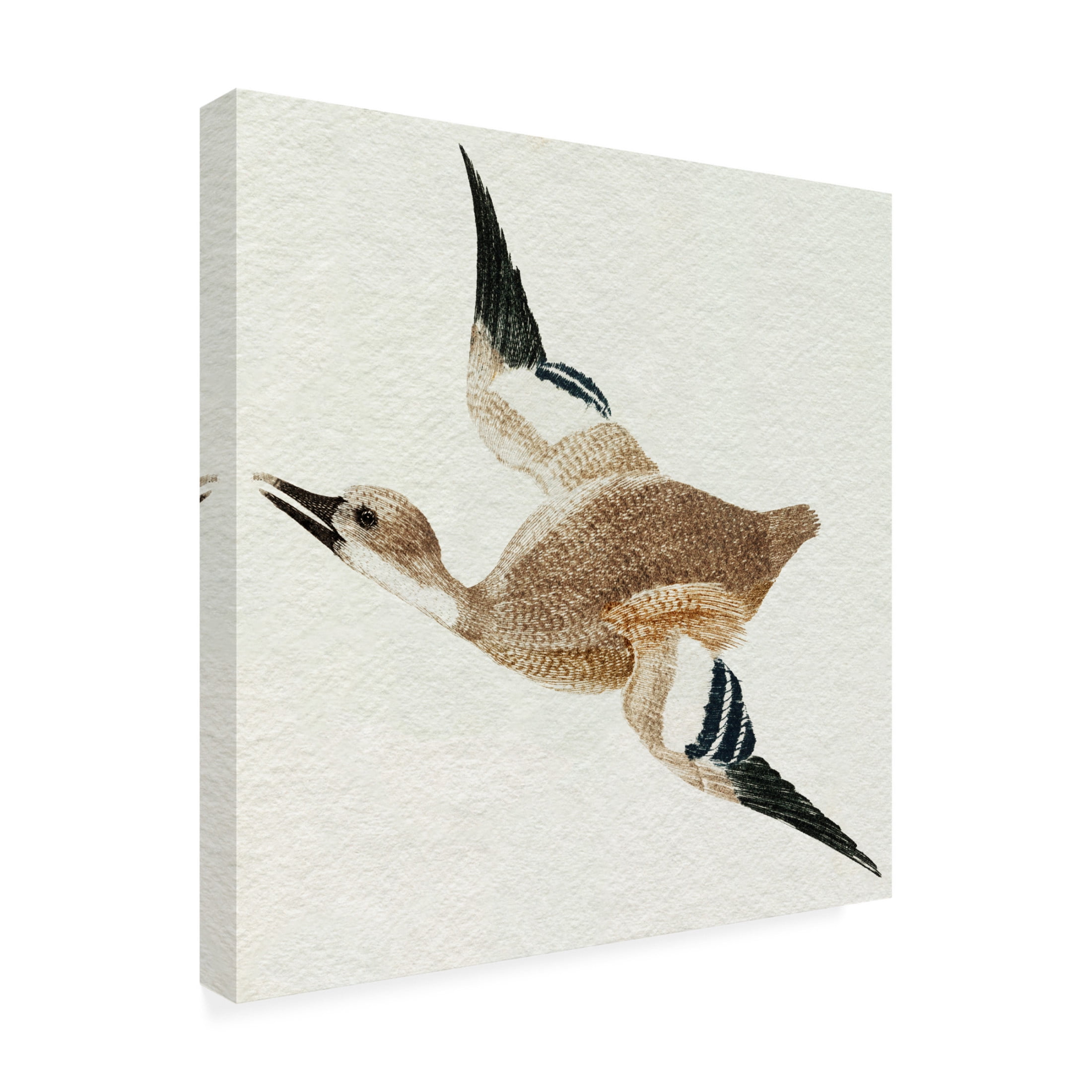 Trademark Fine Art Johan Teyler  Flying Ducks II Canvas Wall Art
