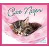 Cat Naps Desk Calendar, 2017 Kittens by Sellers Publishing Inc