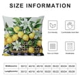 thumbnail image 6 of Awypu Summer Lemons Pillow Covers, Bless Our Home Reversible Throw Pillow Cover, Summer Decorations for Home Farmhouse Sofa Couch Bed Indoor Outdoor, Set of 2 White, 6 of 6
