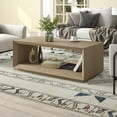 thumbnail image 3 of Evelyn&Zoe Tannen 48" Wide Rectangular Coffee Table, Antiqued Gray Oak, 3 of 8