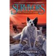 thumbnail image 2 of Le Lac Sans Fin (Survivors, Bk5), 2 of 2