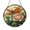 Acrylic 3.5 Inch, variant on Amber Winged Dragonfly And Pink Peony Suncatcher Gift Ornament Glass