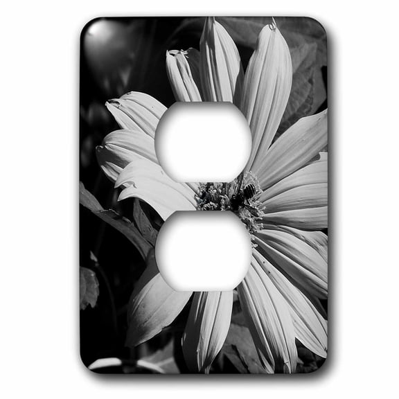 3dRose, Bee Black n White Flower, 2 plug outlet cover