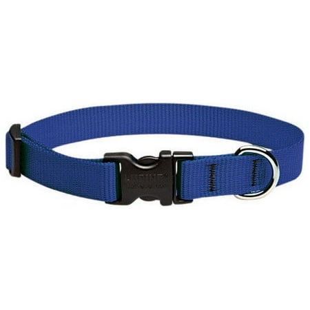 UPC: 0746889175018 | Lupine 17501 Adjustable Dog Collar  Blue  9 x14
