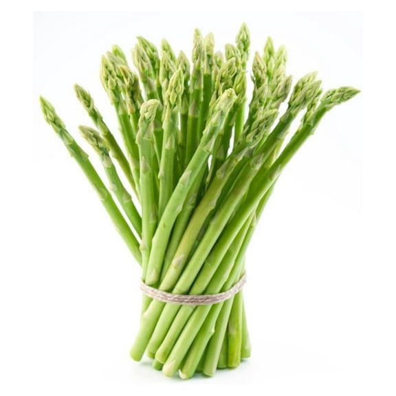 10 Asparagus Plants Bare root Non GMO 2year old Asparagus Plants