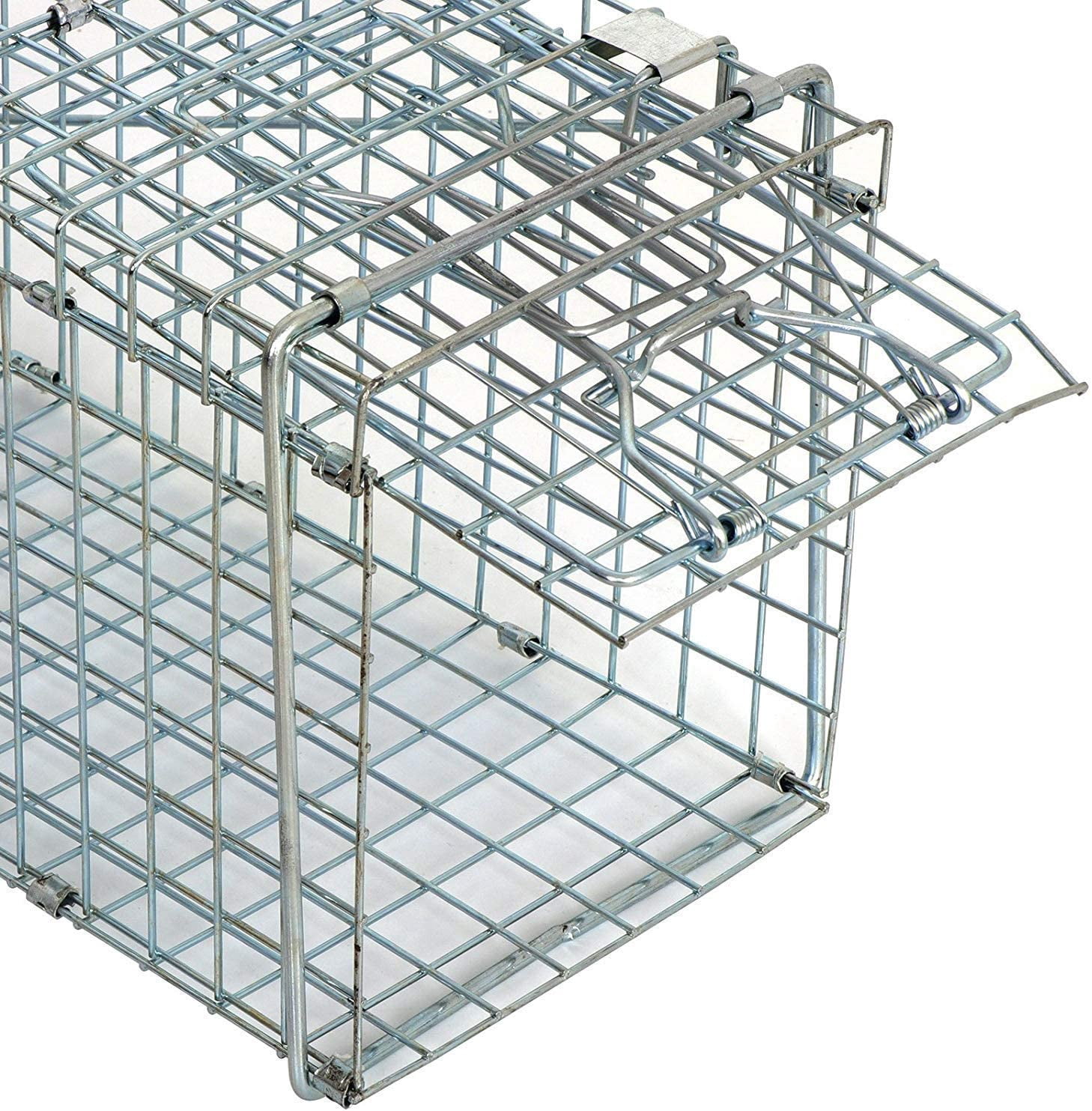 ANHXN Humane Live Animal Cage TrapSteel Catch Release Rodent Cage for Rabbits, Groundhog, Stray Cat, Squirrel, Raccoon, Mole, Gopher, Chicken, Opossum, Skunk, Chipmunk
