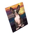 thumbnail image 1 of Sphynx Cat Blanket BLNKT92577, 1 of 3