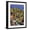 Black Frame, variant on Art.com Charge of the Rough Riders At San Juan Hill in 1898 Giclee Print, 12" x 16"