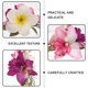 thumbnail image 3 of unbranded Clip De Con Flor Artificial Plumeria Tropical Para Y Estilo Veraniego, 3 of 7