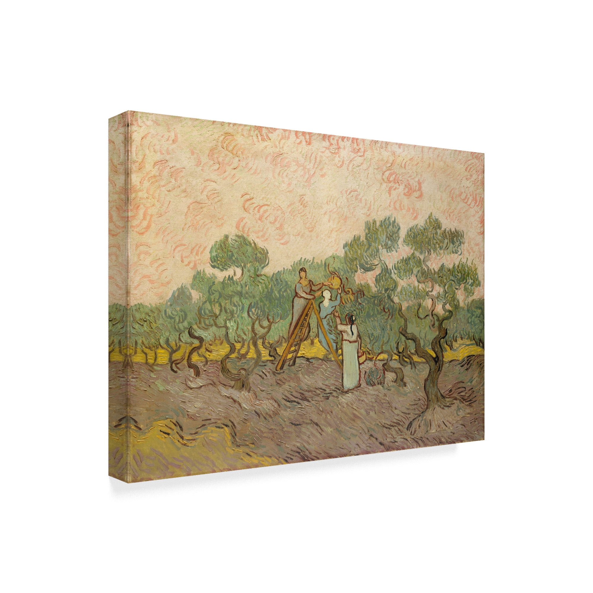 Trademark Fine Art 'The Olive Pickers Saintremy' Canvas Art by Vincent Van Gogh