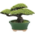 thumbnail image 7 of Leaves and Soul Bonsai Pot Ceramic Flower Pot for Succulents and Plants, Dark Green Oval, 7 of 7