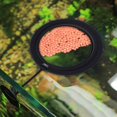 thumbnail image 4 of Anillo de acuario alimentador de peces con ventosa para alimentación de peces flotantes, 4 of 5