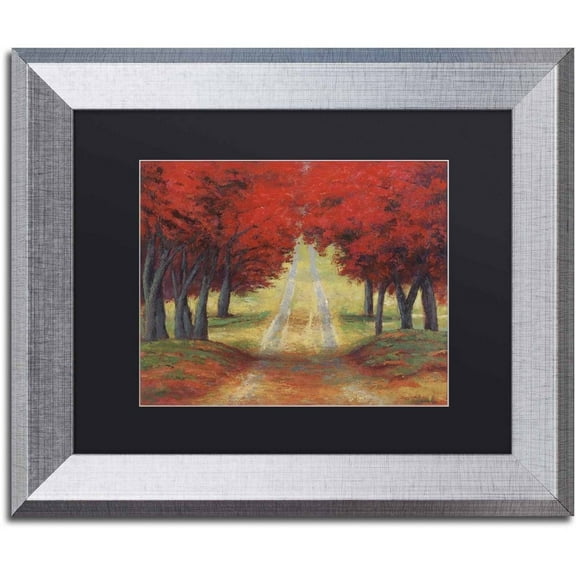 Trademark Fine Art 'Autumn Pathway' Canvas Art by Daniel Moises, Black Matte, Silver Frame
