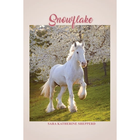 Snowflake (Paperback)