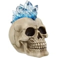 thumbnail image 1 of Ebros Colorful LED Light Mohawk Crystal Hair Cranium Skull Figurine 7" Long, 1 of 7
