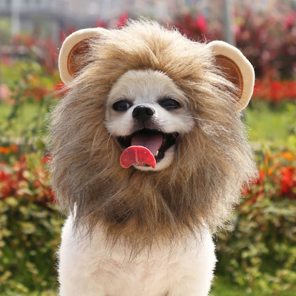 CAT LION CLOTHES HAIR FUNNY Pet MANE WIG Headgear Hat DRESS UP COSTUME G2X8  new.