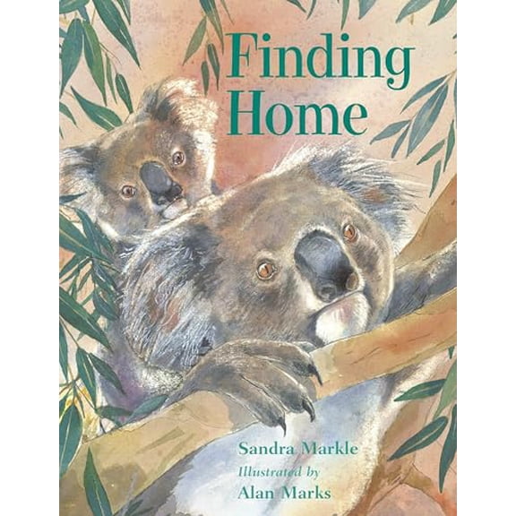 Pre-Owned Finding Home (Paperback)