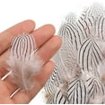 thumbnail image 4 of 180PCS Assorted Feathers, 6 Styles Natural Chicken Feathers for DIY Crafts Earring Wings Dream Catcher Carnival Party Decoration, 4 of 7