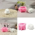 thumbnail image 2 of Piggy Animal Statue Silicone Candle Molds for Candle Soap Home Decoration, 2 of 8