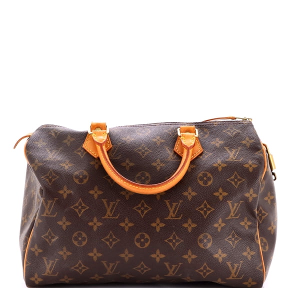 Pre-Owned Speedy Handbag Monogram Canvas 30 By Rebag