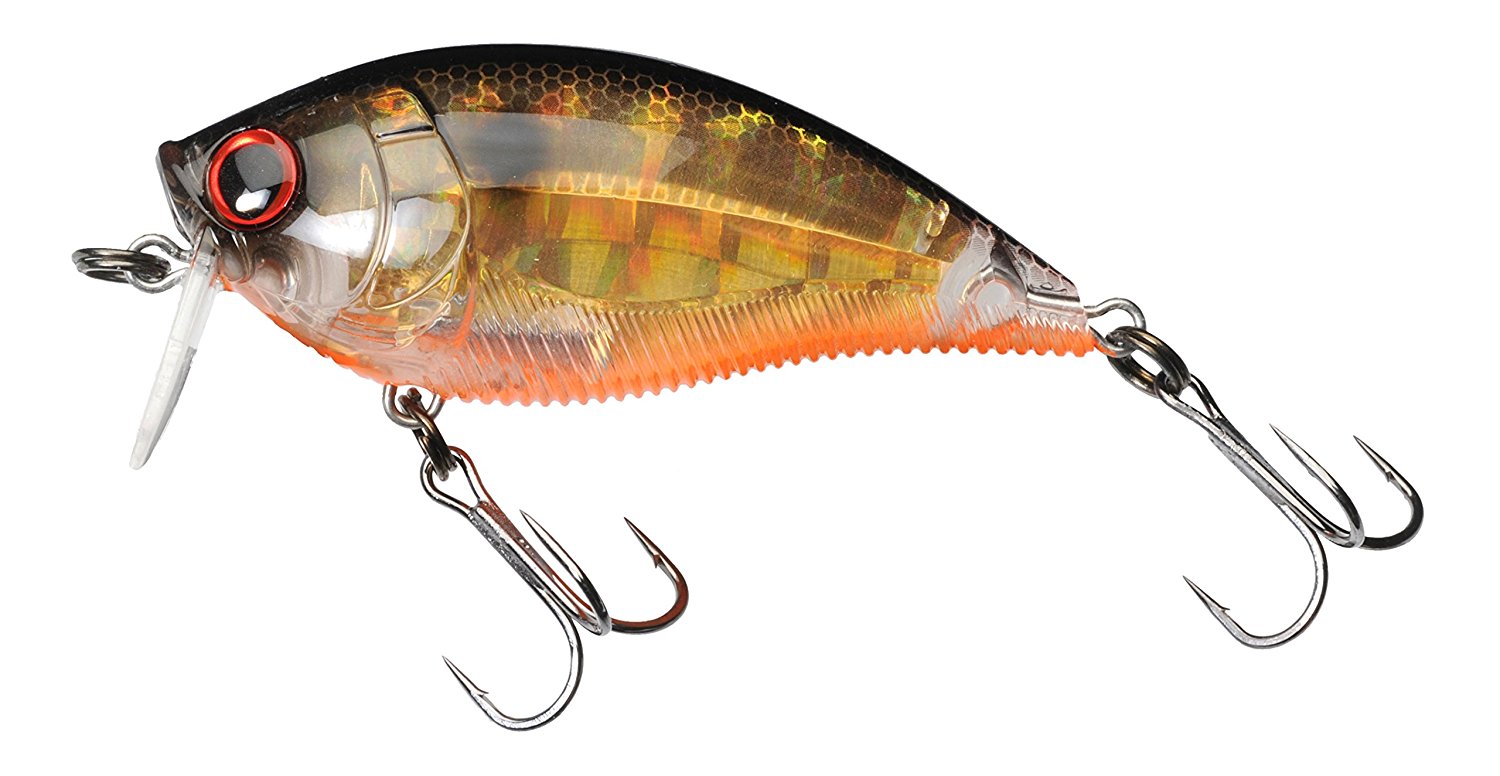 wake bait swimbait